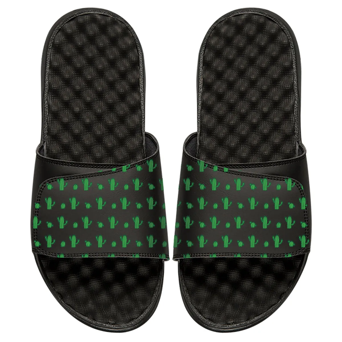 Cacti Pattern Slides